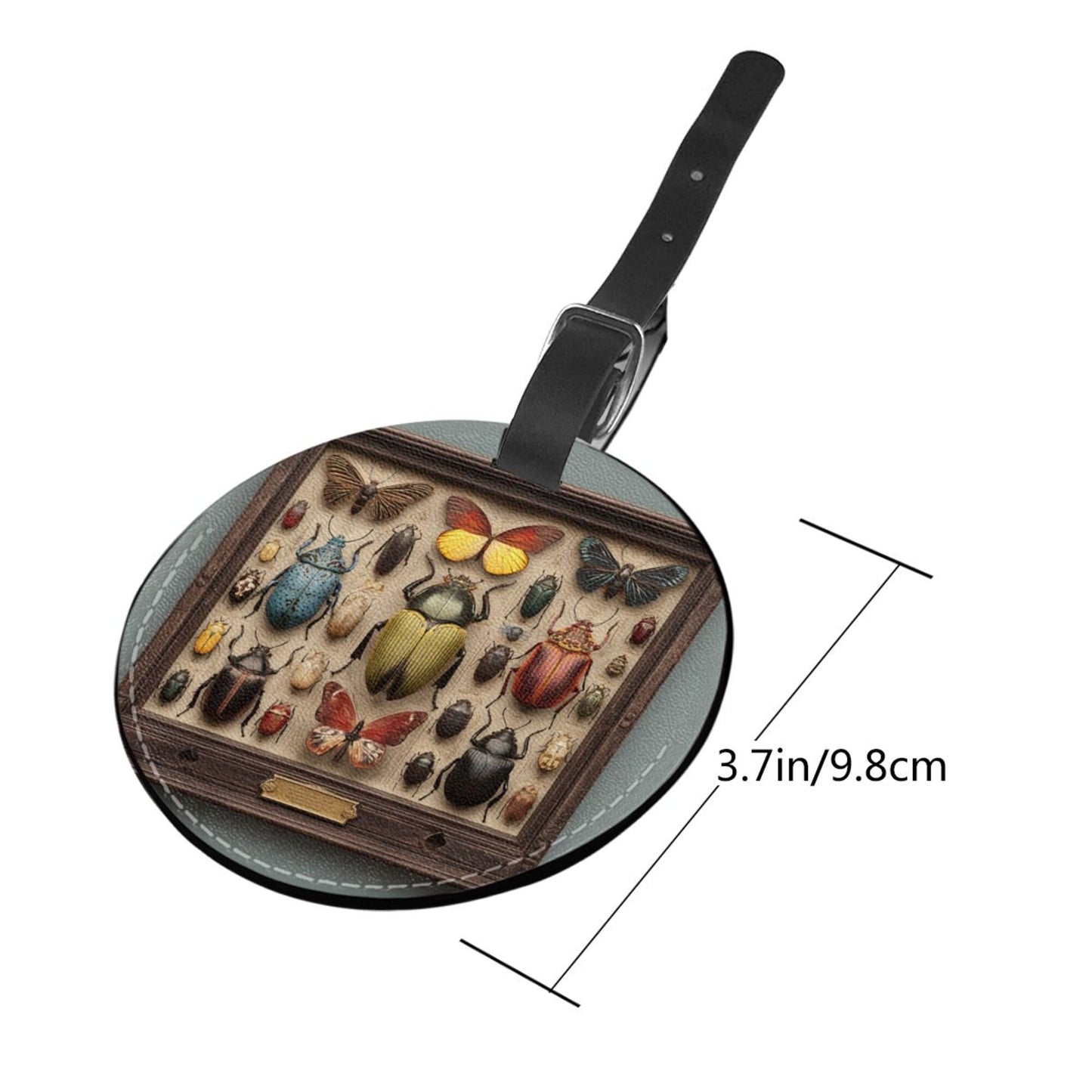 Round Leather Luggage Tag with Insect & Butterfly Display Case Design – Travel Bag Identifier with Privacy Card – 3.7in / 9.8cm Vintage Natural History Style